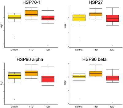 Quantification of heat shock proteins in the posterior interosseous nerve among subjects with type 1 and type 2 diabetes compared to healthy controls